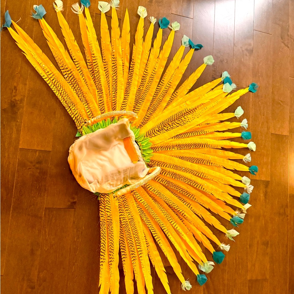 Samba Costero